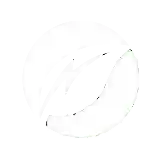 small lsb logo